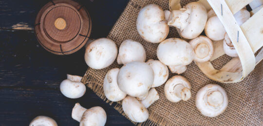 Cleaning White Mushrooms. White Mushrooms. Spice