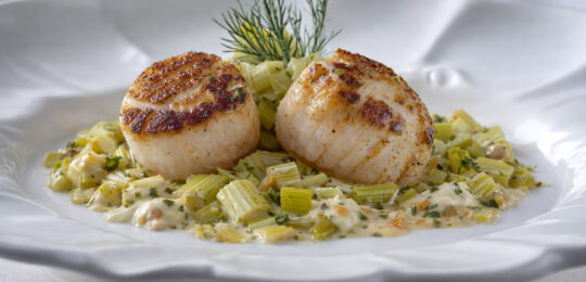 Recette Saint Jacques Dugléré